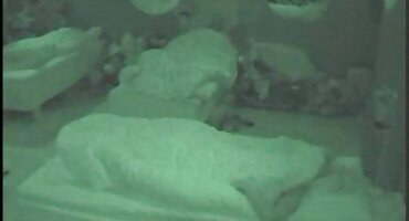 నీట్ అమ్మాయి తెలుగు సెక్స్ బ్లూ ఫిలిం ప్రేమికుడు చాక్లెట్ గుహ భాగస్వామ్యం