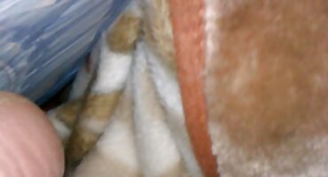 శృంగారమైన సెక్స్ ఫిలిం తెలుగు లో భార్య మేజోళ్ళు ప్రేమించే భర్త డాగీ స్టైల్ లొంగిపోవడానికి